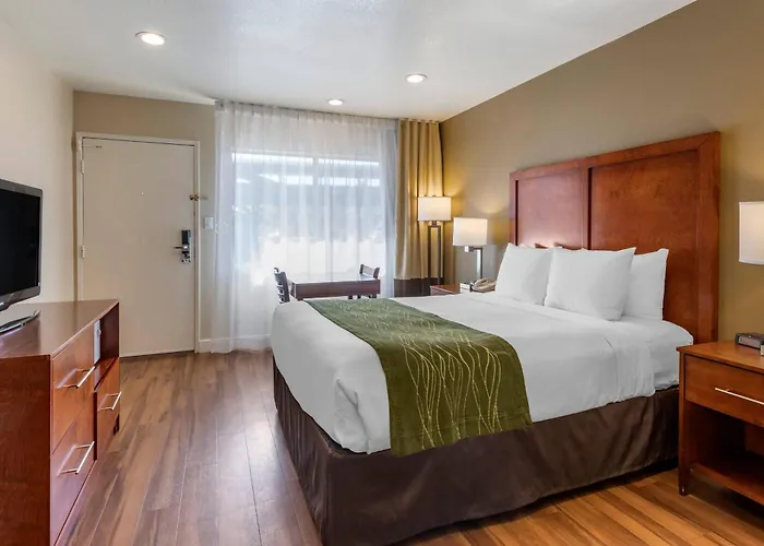 Comfort Inn Bishop