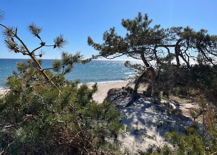 Hotell Baeckagarden Ystad