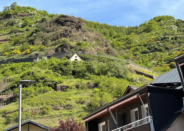 Ferienweingut Rudorfer Hotel Valwig