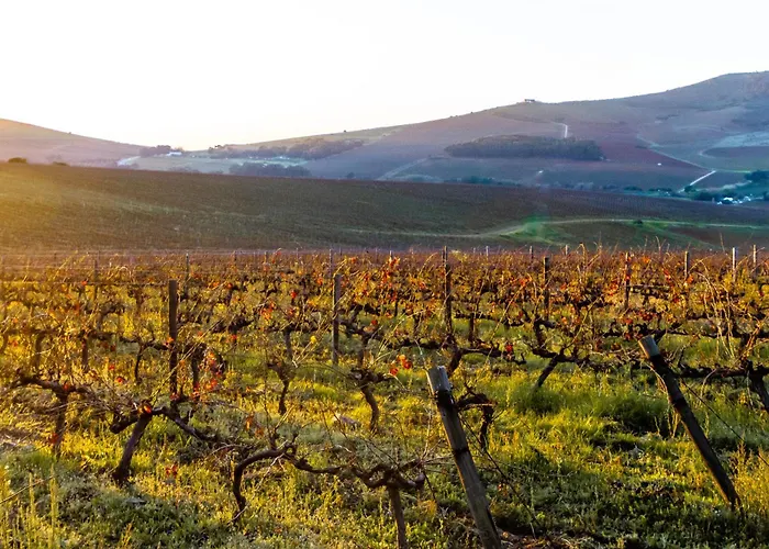 D'Aria Guest Cottages Durbanville
