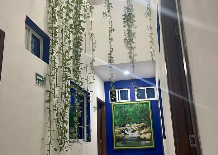 Zafara Hotel Santa Marta 