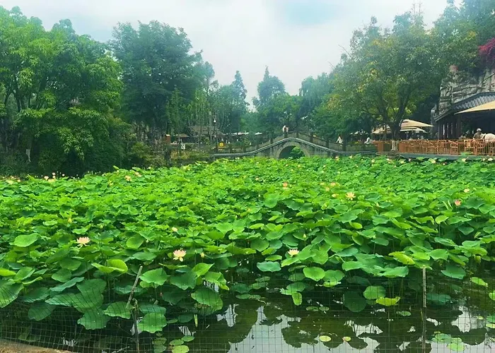 Gongxili - Xige Hotel Chengdu