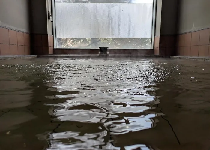 Ryokan Ichinomatsu Hakodate