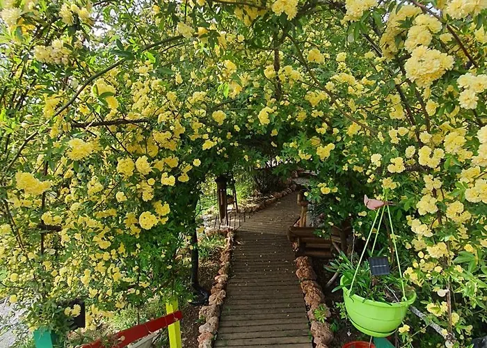 La Lyalis Bed & Breakfast Aiguines