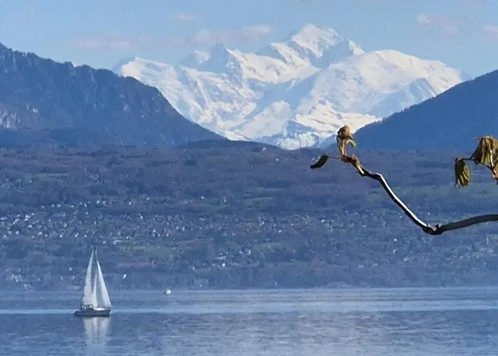 Romantik Hotel Mont Blanc Au Lac Morges