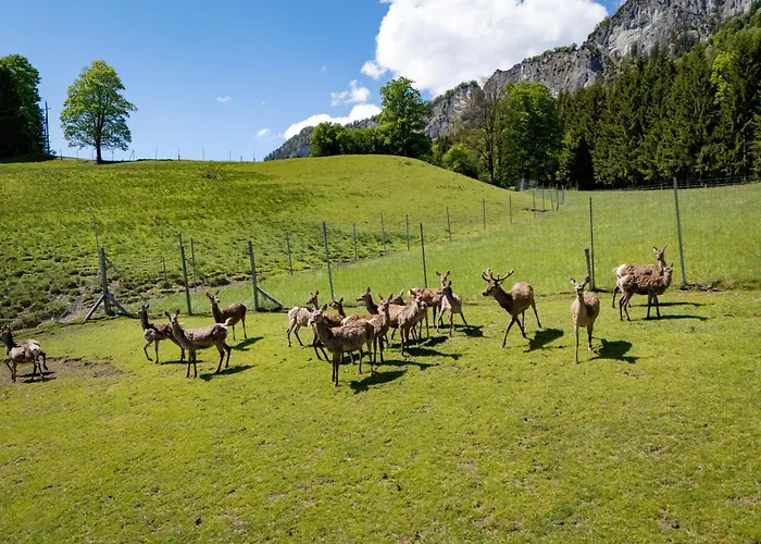 Hotel Berghof Haselsberger St. Johann in Tirol