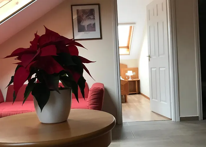 Aurora Panzio Bed & Breakfast Buk