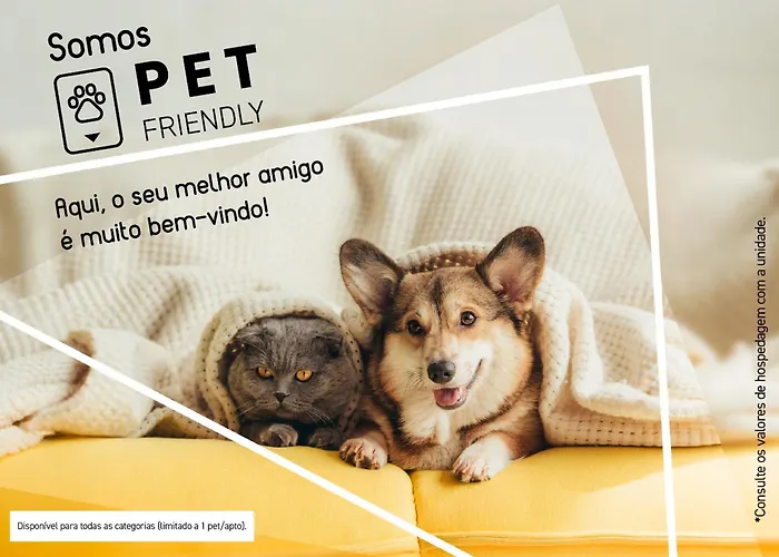 Slim Hotel Sao Paulo Frei Caneca São Paulo