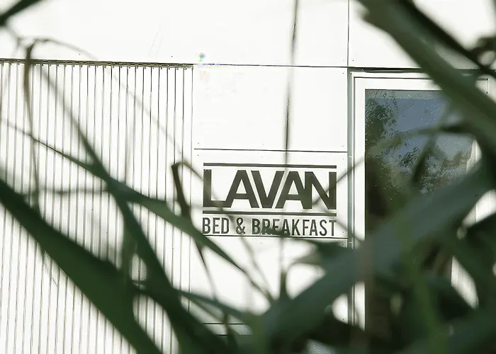 Lavan Lovaina