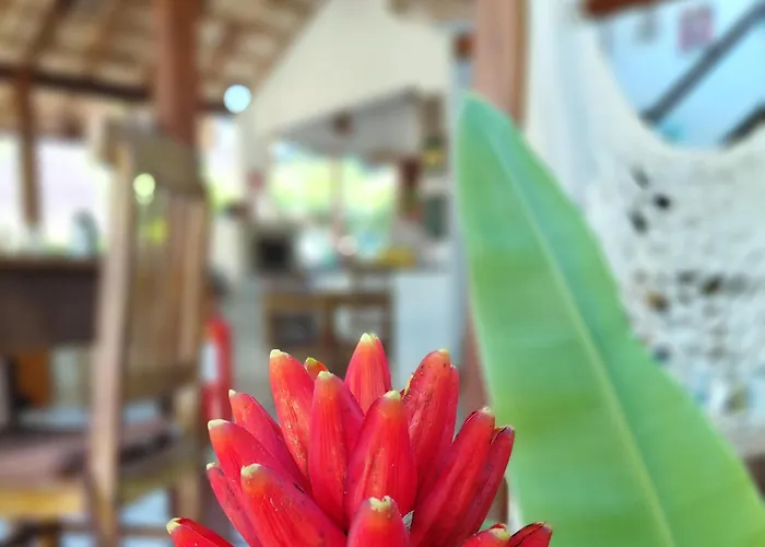 Planeta Banana Paraty