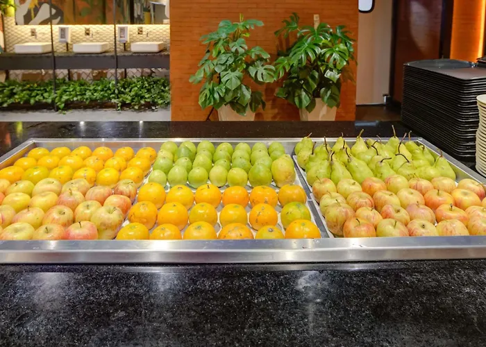 Hotel Ibis Rio De Janeiro Santos Dumont