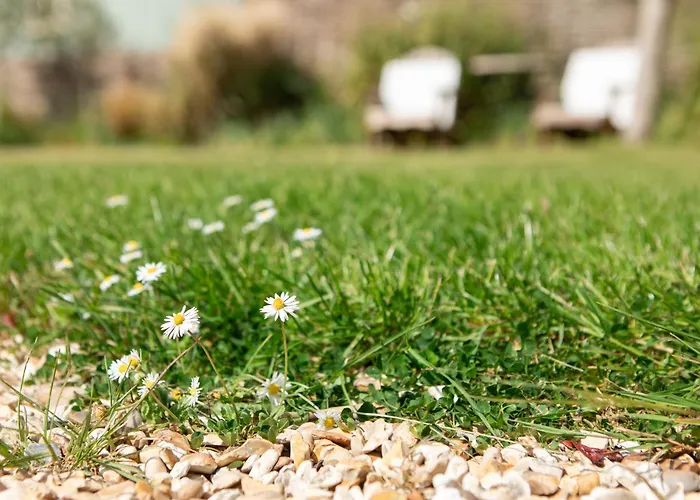 Daisybank Cottage Boutique Bed And Breakfast Brockenhurst