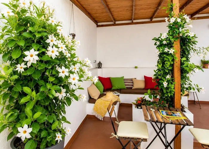 City Garden Bed And Breakfast Valencia