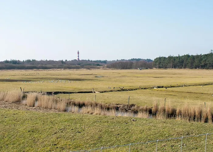 Inselhotel Kapitän Tadsen / Amrum Nebel