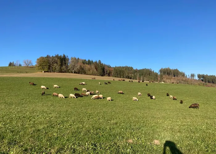 Hotel Gasthof Straub Lenzkirch
