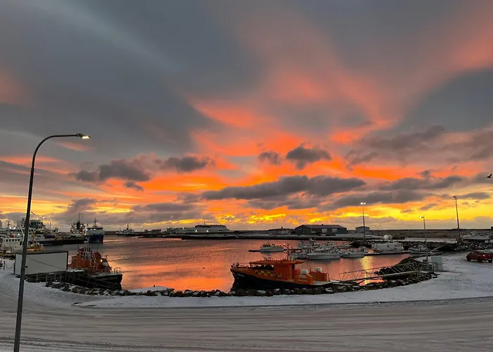 Guesthouse Hvammur By The Harbour Höfn