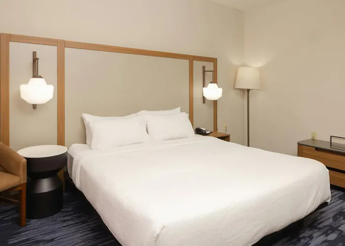 Fairfield Inn & Suites Lansing West Delta Center Township