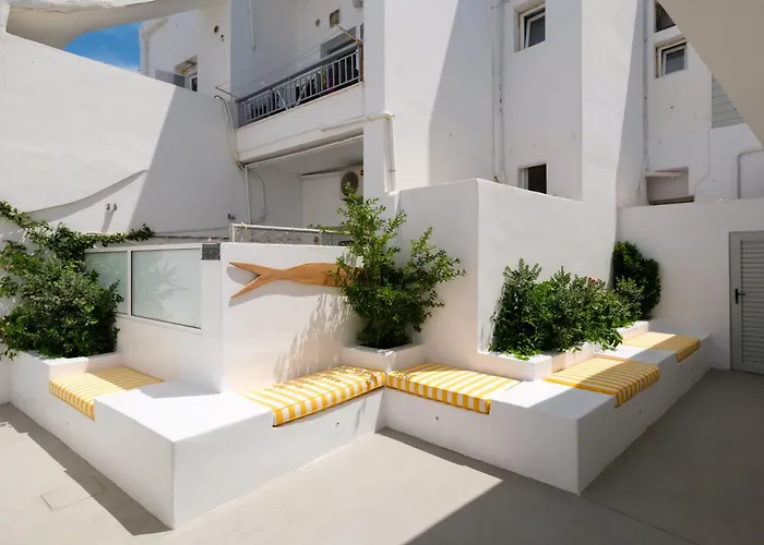 Pelican Paros