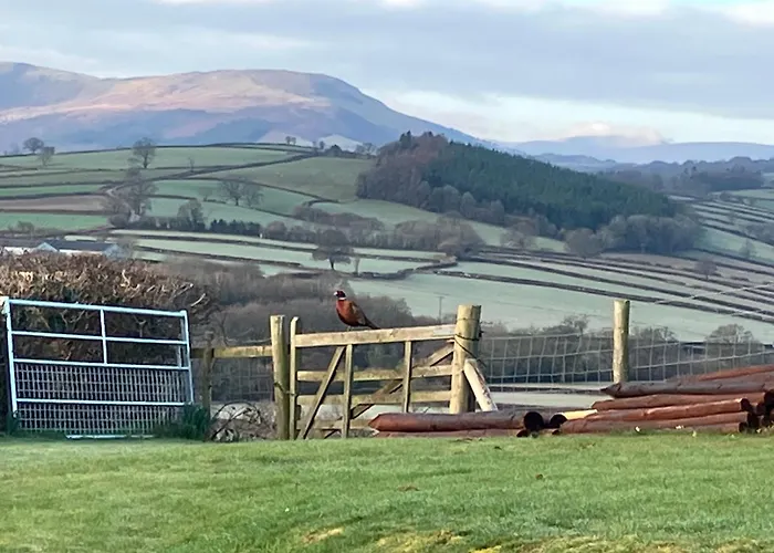 Beaconsview B&B Brecon