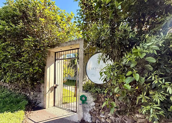 Senhora Do Carmo Charm House Bed and Breakfast Ponta Delgada