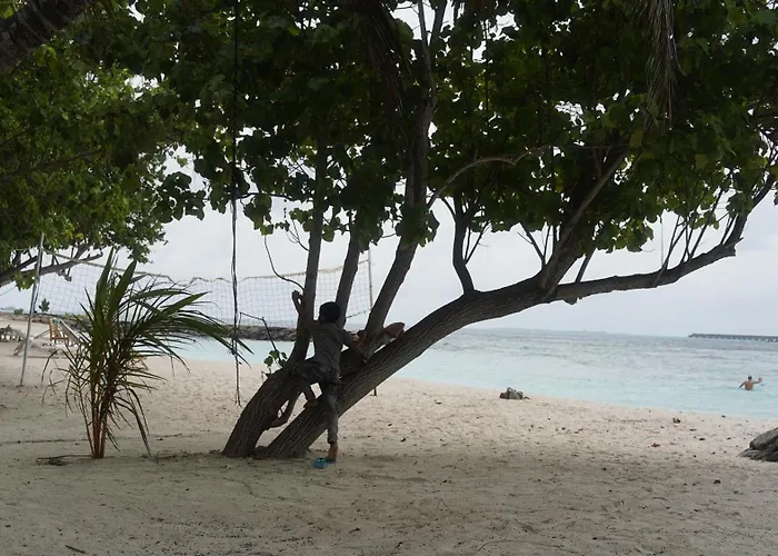 Ocean Cottage Maldives Thulusdhoo