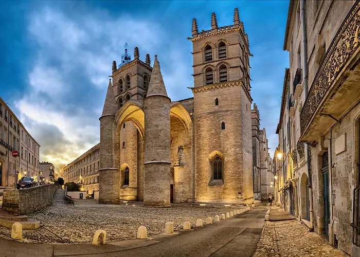 Hôtel D'Aragon - Place de la Comédie - Montpellier
