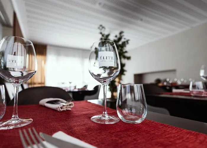 Hotel Elite Sion
