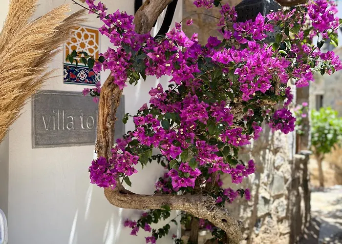 Hotel Villa Tokur Datca