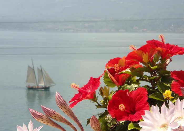 Taki Village Brenzone sul Garda