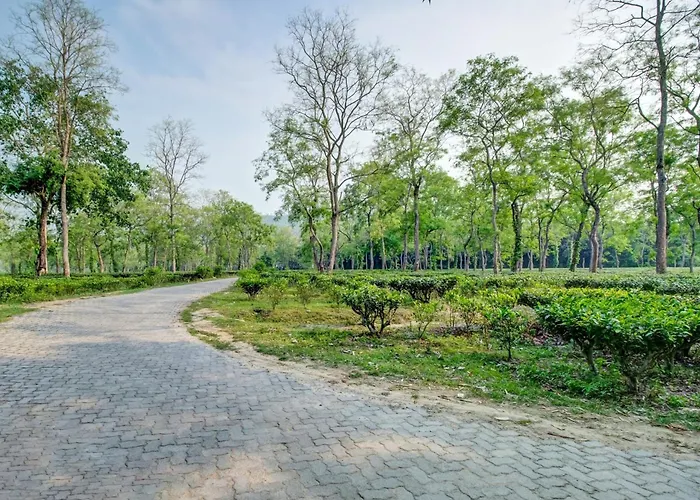 Hotel O Heritage Nest Resort Kazirnga Kaziranga