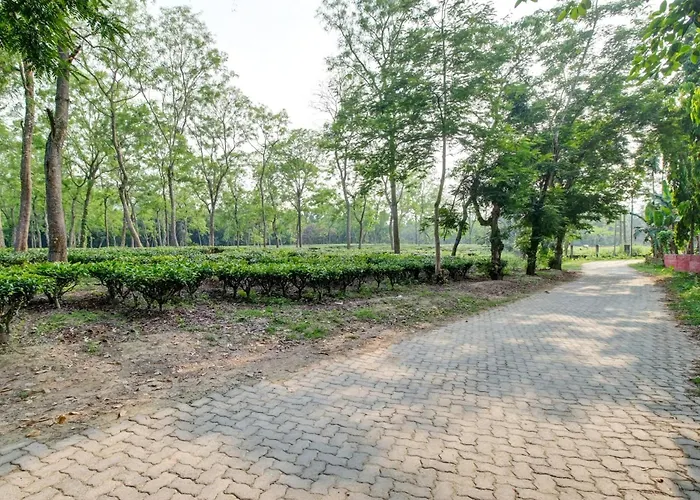 Hotel O Heritage Nest Resort Kazirnga Kaziranga
