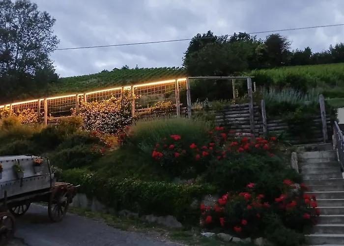 1929 Wine Food Relax Agriturismo Acqui Terme