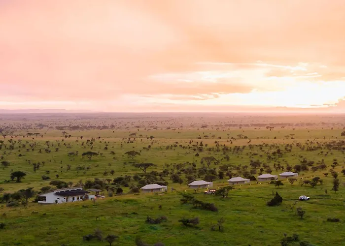 Salinero Serengeti