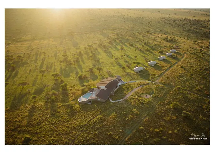 Salinero Serengeti