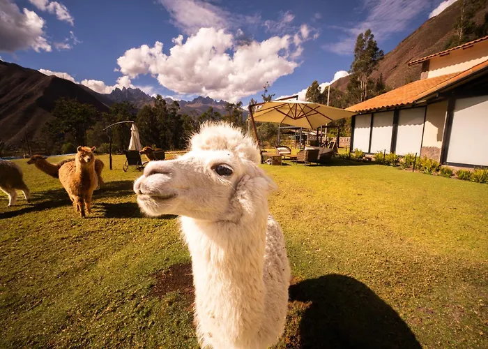 Sierra Sacred Valley Urubamba