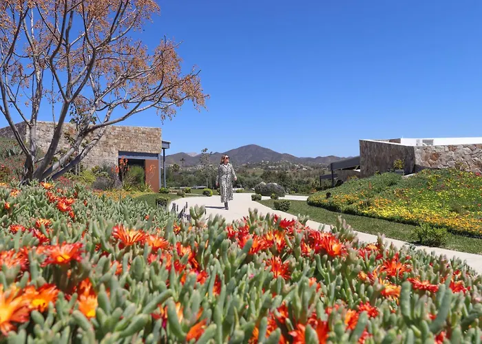Parra Del Valle Hotel Boutique Valle de Guadalupe