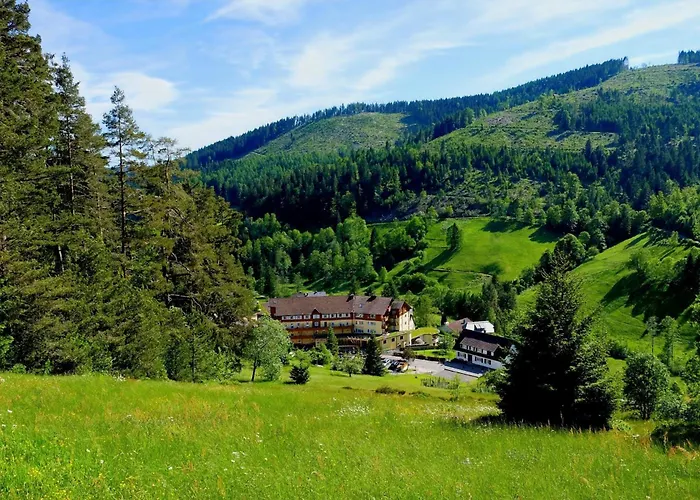 Die Tanne Tonbach - Wellness & Wohlfuehl Hotel Baiersbronn