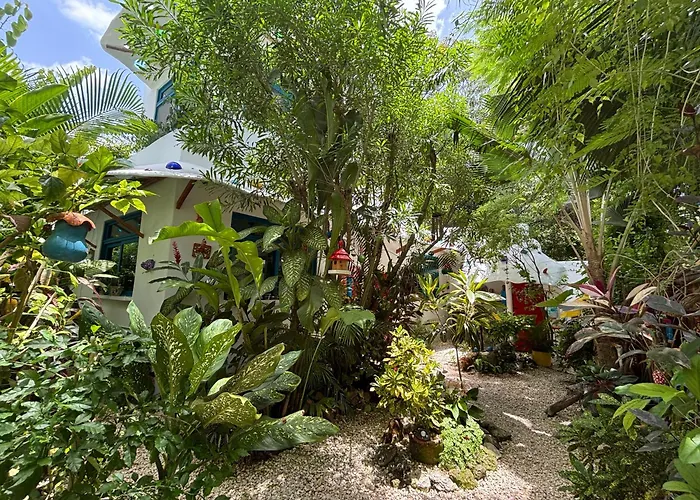 Maison Bacalar