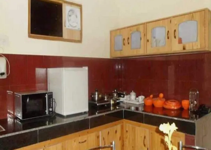 Hotel O Antriksh Cottage Manali 