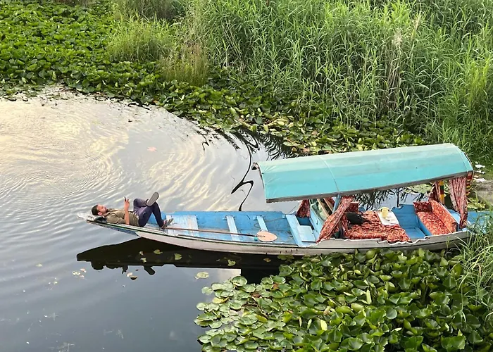 Green View Group Of Houseboats Srinagar 