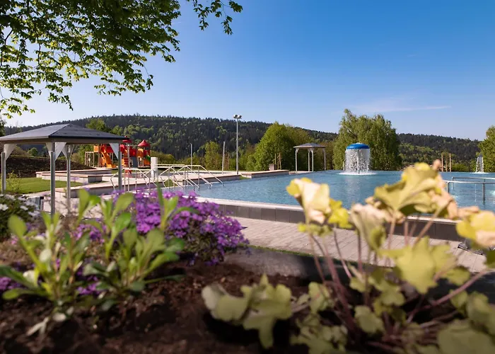Michel Hotel Waldkirchen am Badepark