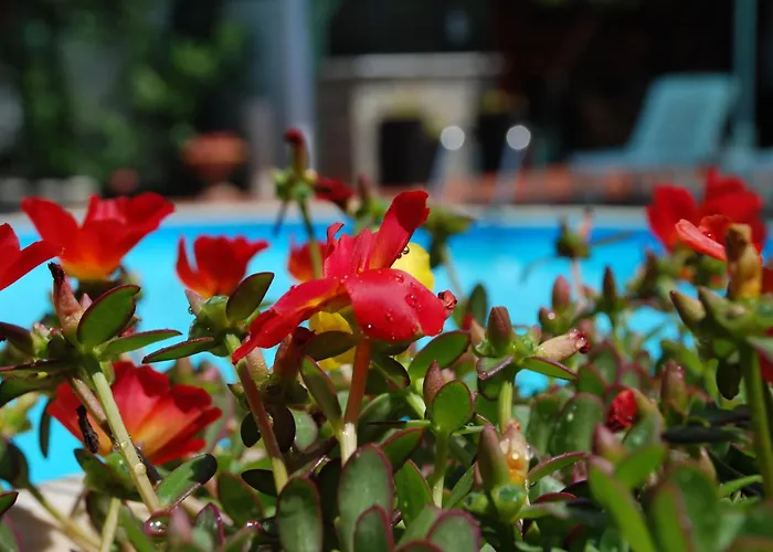 Kipos Hotel Limenas 