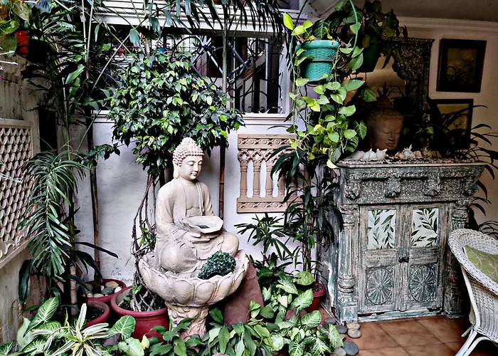 On The House - Bed And Breakfast New Delhi