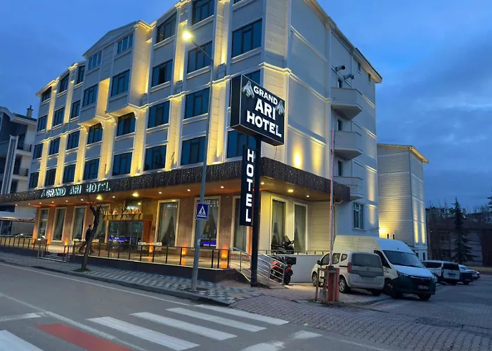 Afyon Grand Arı Hotel Afyonkarahisar