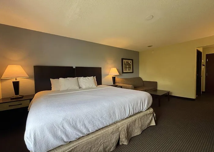 Baymont By Wyndham Dale Hotel