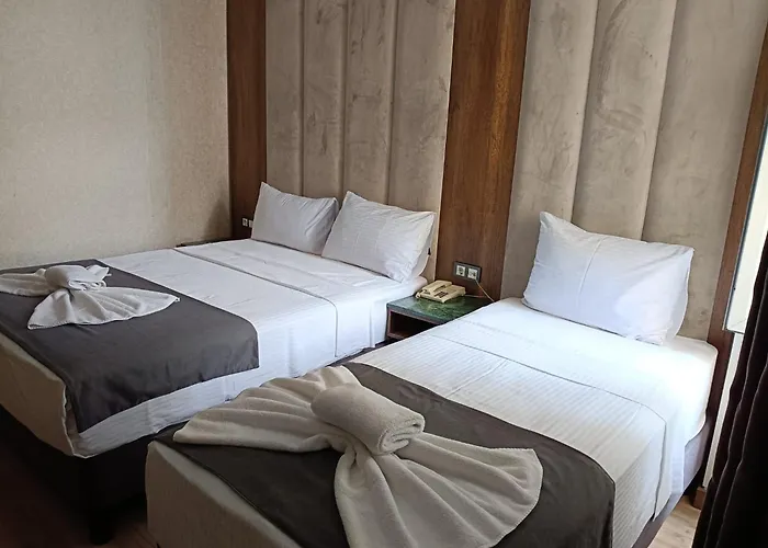 Hotel Buyuk Paris Istanboel