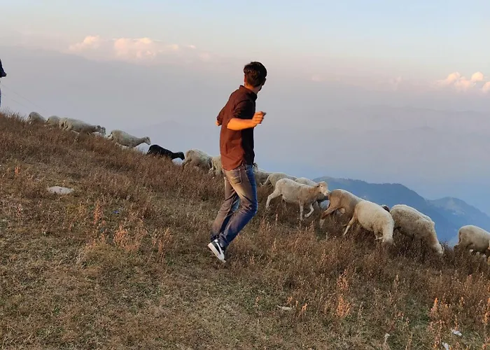Smarthill Kalatop-Nature'S Heaven Dalhousie
