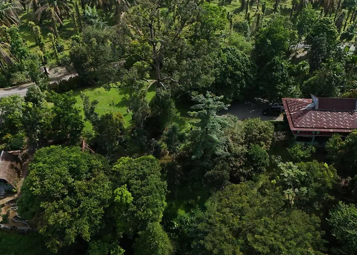 Green Forest Tangkahan Medan