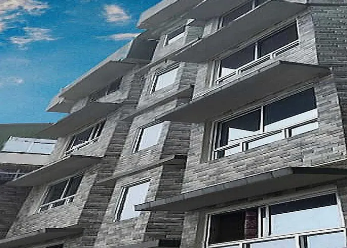 Collection O Dezong The Mount View Hotel Darjeeling 