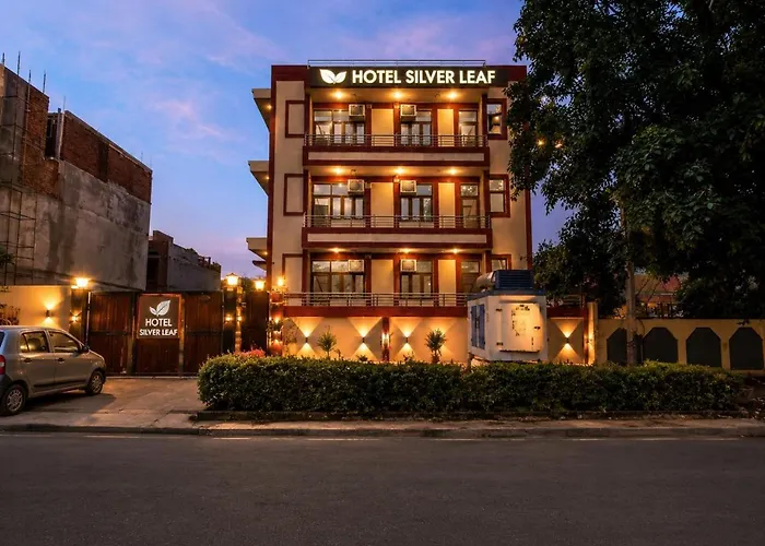 Silver Leaf Noida New Delhi